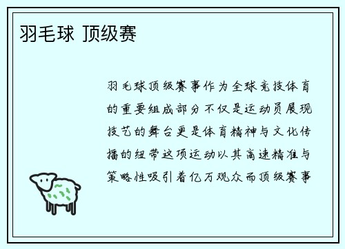 羽毛球 顶级赛